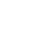 成婚数No1